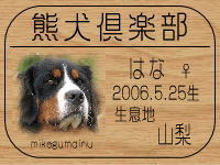 �݂��݁�����̂a�k�n�f�ւf�n�I